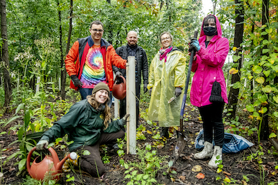 people standing in a grove of trees in the rain