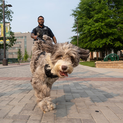 K9 Police dog, Bunji and his partner, Officer Ashanti Mumin. Photo by Evan Cantwell.