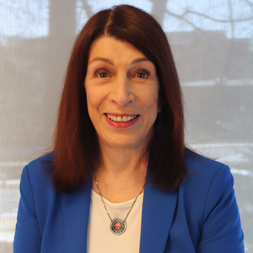 Volgenau Divisional Dean Ariela Sofer